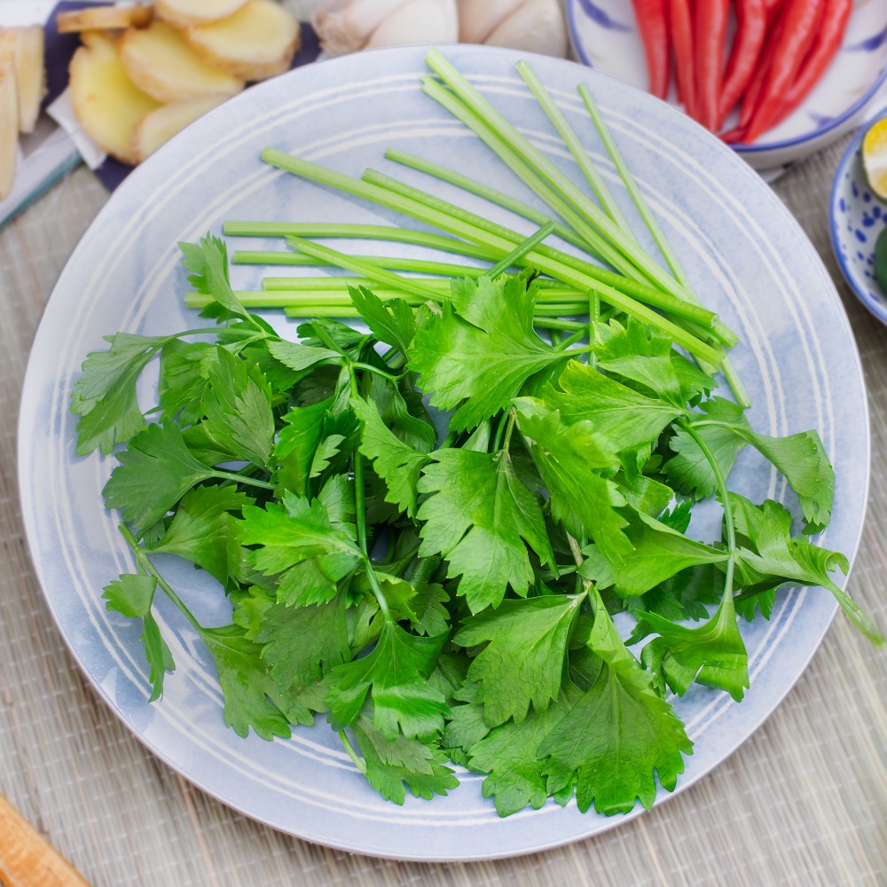 Chinese Parsley